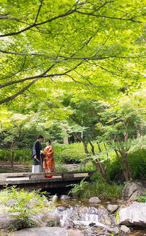 白鳥庭園夏の写真4