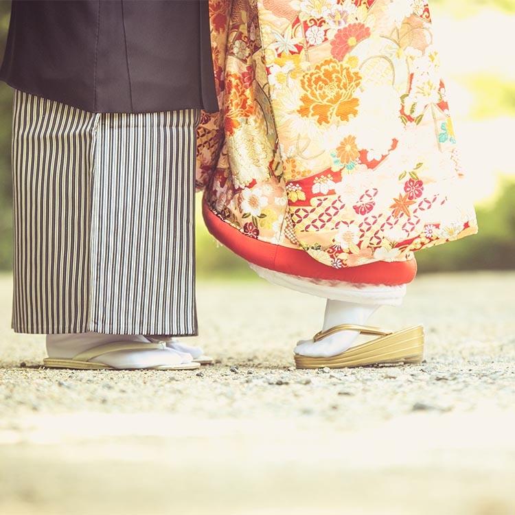 プラントップビジュアル