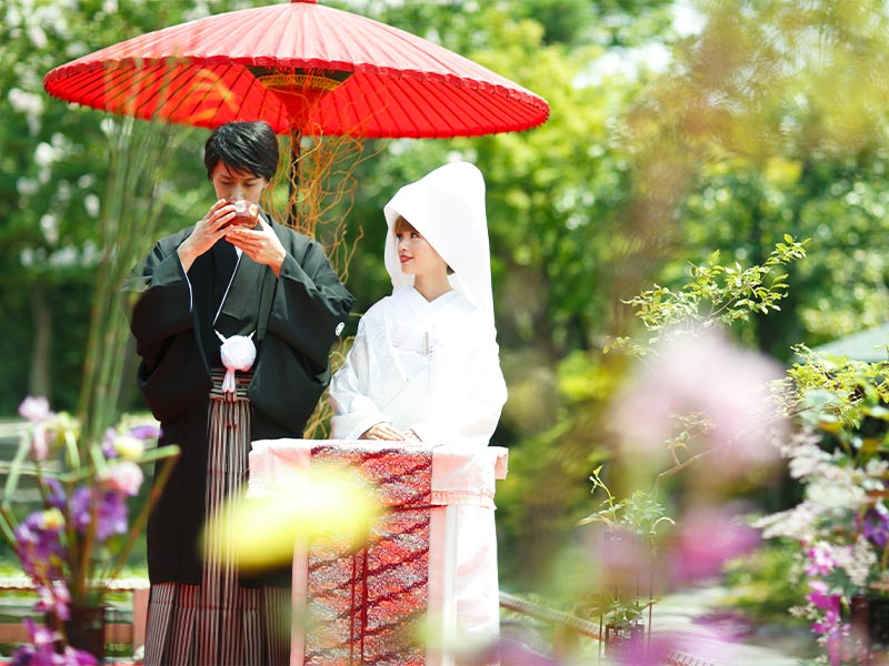 トップスライダー画像3